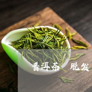 普洱茶 脱发/2023042904957